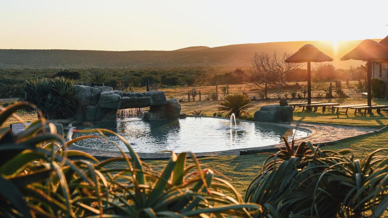 Charihandra Game Lodge Addo Luaran gambar