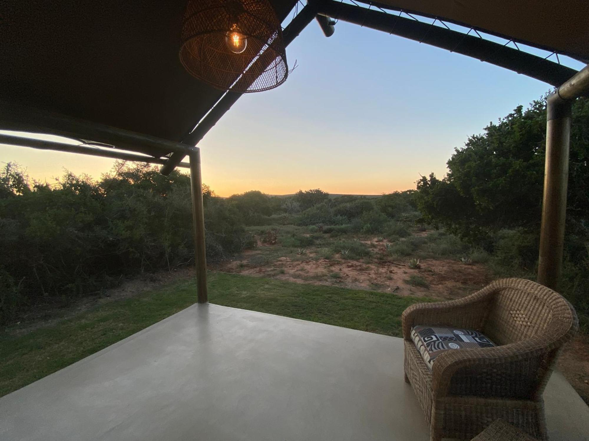 Charihandra Game Lodge Addo Luaran gambar